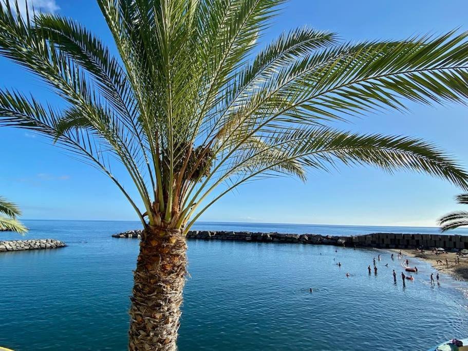The Vibe Madeira Apartment 2 Arco da Calheta Kültér fotó